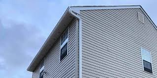 Historical Building Siding Restoration in Conway, FL